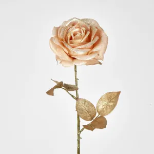 Champagne with Champagne Gold Glitter Christmas Venus Rose with 2 sets of Leaves by Florabelle Living, a Plants for sale on Style Sourcebook