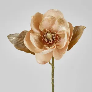 Champagne with Champagne Gold Glitter Christmas Magnolia with 3 Leaves by Florabelle Living, a Plants for sale on Style Sourcebook