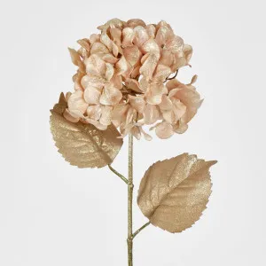 Champagne with Champagne Gold Glitter Christmas Hydrangea with 2 Leaves by Florabelle Living, a Plants for sale on Style Sourcebook