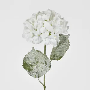 Snow Covered White Christmas Hydrangea with 2 Leaves by Florabelle Living, a Plants for sale on Style Sourcebook