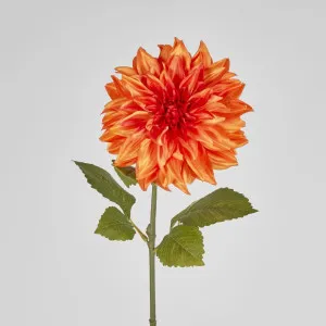 Orange Dahlia by Florabelle Living, a Plants for sale on Style Sourcebook