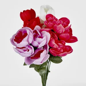 Peony Bush Sold in Box Qty Only by Florabelle Living, a Plants for sale on Style Sourcebook