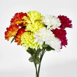 Chrysanthemum Bush Sold in Box Qty Only by Florabelle Living, a Plants for sale on Style Sourcebook