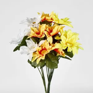 Asst Sunflower Gerbera Daisy Bush Sold in Box Qty Only by Florabelle Living, a Plants for sale on Style Sourcebook