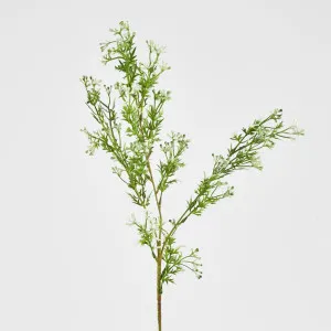 Fine White Filler Spray by Florabelle Living, a Plants for sale on Style Sourcebook