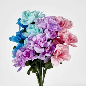 Dahlia Bush Sold in Box Qty Only by Florabelle Living, a Plants for sale on Style Sourcebook