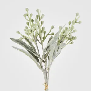 Wattle Bundle by Florabelle Living, a Plants for sale on Style Sourcebook