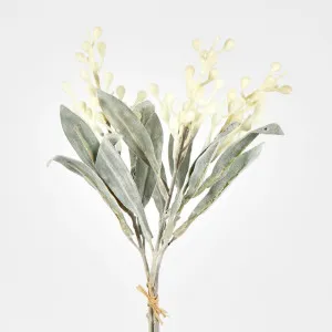 Wattle Bundle by Florabelle Living, a Plants for sale on Style Sourcebook