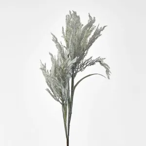 Dark Grey Blue Pampas by Florabelle Living, a Plants for sale on Style Sourcebook