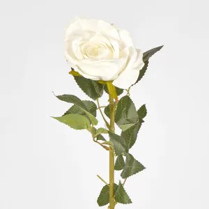 White Open Rose Stem 68cm by Florabelle Living, a Plants for sale on Style Sourcebook