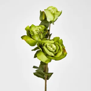 Rose x 3 & 2 Buds by Florabelle Living, a Plants for sale on Style Sourcebook