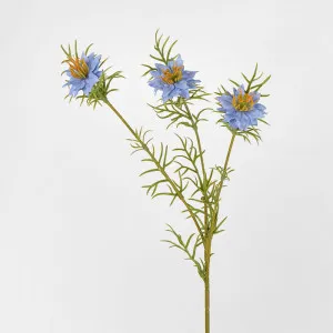 Love in the Mist by 3 by Florabelle Living, a Plants for sale on Style Sourcebook