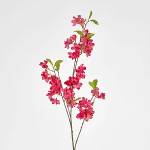 Blossom Spray by Florabelle Living, a Plants for sale on Style Sourcebook
