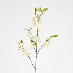 Blossom Spray by Florabelle Living, a Plants for sale on Style Sourcebook