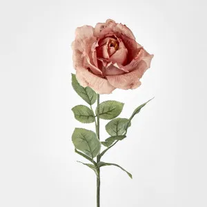 Dusty Peach Dried Rose by Florabelle Living, a Plants for sale on Style Sourcebook