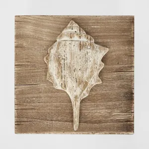Murex Shell on Plaque by Florabelle Living, a Statues & Ornaments for sale on Style Sourcebook