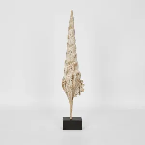 Cerith on Stand by Florabelle Living, a Statues & Ornaments for sale on Style Sourcebook