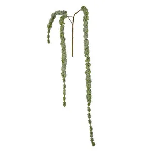 Amaranthus Hanging Spray 1.45m Green by Florabelle Living, a Plants for sale on Style Sourcebook