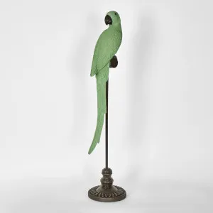Amabela Parrot Large Green by Florabelle Living, a Statues & Ornaments for sale on Style Sourcebook