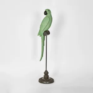 Amabela Parrot Medium Green by Florabelle Living, a Statues & Ornaments for sale on Style Sourcebook