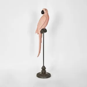 Amabela Parrot Medium Pink by Florabelle Living, a Statues & Ornaments for sale on Style Sourcebook