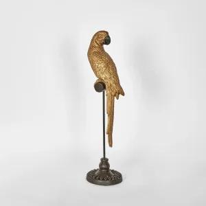 Amabela Parrot Small Gold by Florabelle Living, a Statues & Ornaments for sale on Style Sourcebook