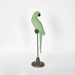 Amabela Parrot Small Green by Florabelle Living, a Statues & Ornaments for sale on Style Sourcebook