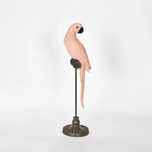 Amabela Parrot Small Pink by Florabelle Living, a Statues & Ornaments for sale on Style Sourcebook
