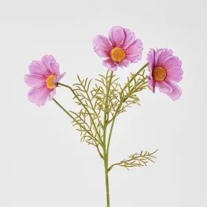 Coco 3 Heads Cosmo 50cm Purple & Pink by Florabelle Living, a Plants for sale on Style Sourcebook