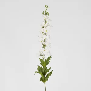 Bella Single Head Delphinium White by Florabelle Living, a Plants for sale on Style Sourcebook