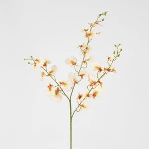 Lilly Dancing Orchid
 98cm Cream by Florabelle Living, a Plants for sale on Style Sourcebook