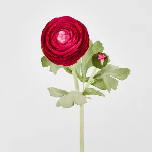 Clara Fuschia Ranunculus Spray
 49cm by Florabelle Living, a Plants for sale on Style Sourcebook