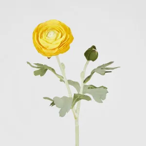 Clara Yellow Ranunculus Spray49cm by Florabelle Living, a Plants for sale on Style Sourcebook
