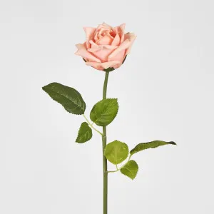 Ingrid Rose Real Touch Peach
 46cm by Florabelle Living, a Plants for sale on Style Sourcebook