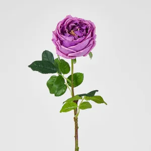 Dianna Real Touch Rose Steam Lilac
 60cm by Florabelle Living, a Plants for sale on Style Sourcebook