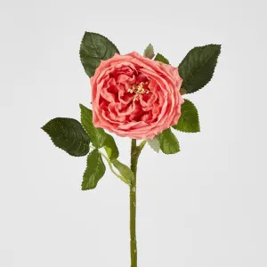 Dianna Real Touch Rose Steam Orange
 60cm by Florabelle Living, a Plants for sale on Style Sourcebook