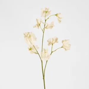 Jane Sweet Pea 60cm Off White by Florabelle Living, a Plants for sale on Style Sourcebook