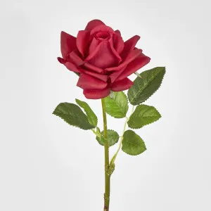 Winston Rose Real Touch Fuschia
 45cm by Florabelle Living, a Plants for sale on Style Sourcebook