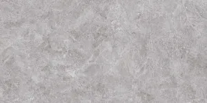 Nordic Grey (12mm) by Quantum Porcelain, a Silica Free Surfaces for sale on Style Sourcebook