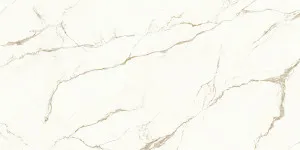 Nuovo Dorato (12mm) by Quantum Porcelain, a Silica Free Surfaces for sale on Style Sourcebook