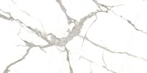 Statuario (12mm) by Quantum Porcelain, a Silica Free Surfaces for sale on Style Sourcebook