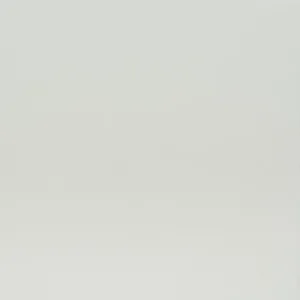 Alpine White (Deluxe Range) by Quantum Zero, a Silica Free Surfaces for sale on Style Sourcebook