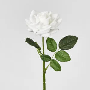 Winston Rose Real Touch White
 45cm by Florabelle Living, a Plants for sale on Style Sourcebook