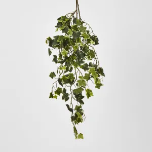 Green Ivy Spray with 140 Verigated Leaves by Florabelle Living, a Christmas for sale on Style Sourcebook