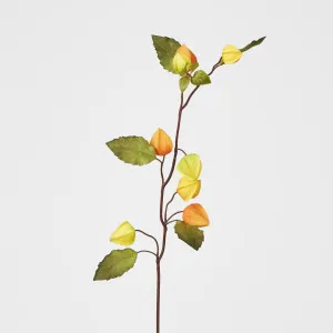 Yellow Chinese Lantern Spray by Florabelle Living, a Plants for sale on Style Sourcebook
