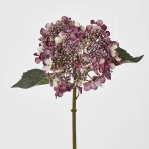 Short Stem Purple Hydrangea by Florabelle Living, a Plants for sale on Style Sourcebook