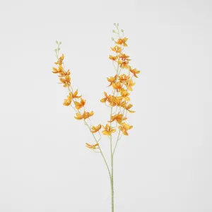 Orange Dendrobium Spray by Florabelle Living, a Plants for sale on Style Sourcebook