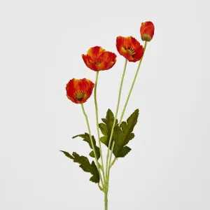Orange Poppy Spray 3 Flowers 1 bud by Florabelle Living, a Plants for sale on Style Sourcebook