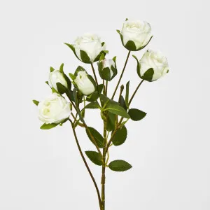 White RoseBud Spray x 7 by Florabelle Living, a Plants for sale on Style Sourcebook