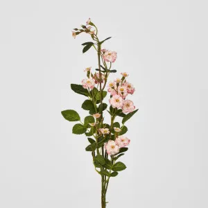 Pink Burma Rose Spray by Florabelle Living, a Plants for sale on Style Sourcebook
